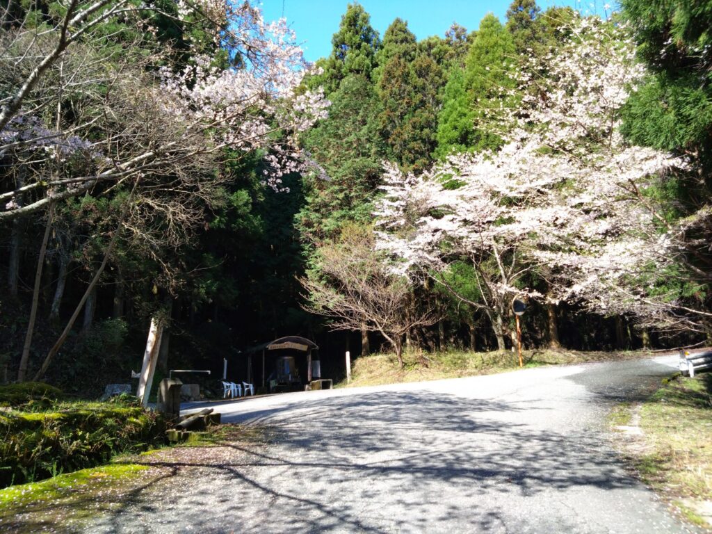 タンクの周りには桜の木が植えられている